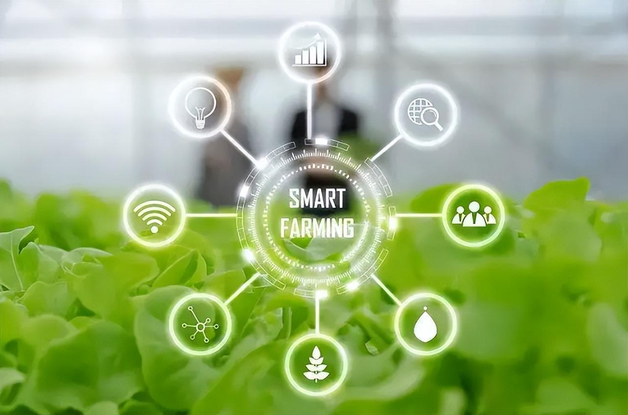 智慧農(nóng)業(yè)物聯(lián)網(wǎng)的未來在哪里？